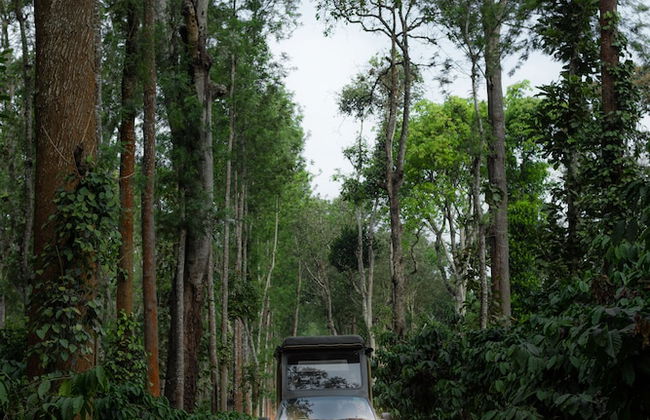 Ama Plantation Trails , Coorg - Foto 74