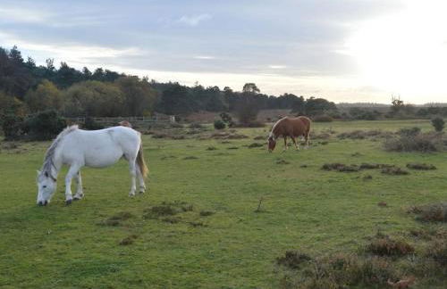 The Potting Shed Sopley - Photo 28