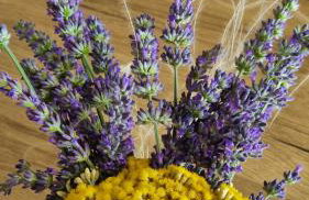 Villa Ispo Volta - Photo 49