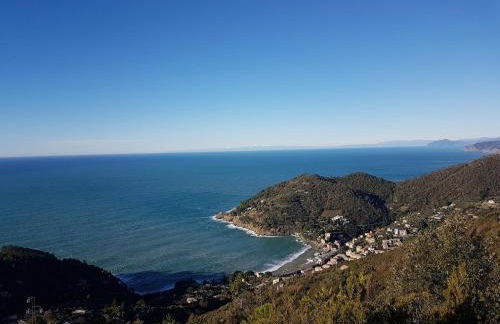 Case vacanza Reggimonti Cinque Terre - Foto 5