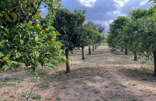 Primavera Retreat - Foto 40