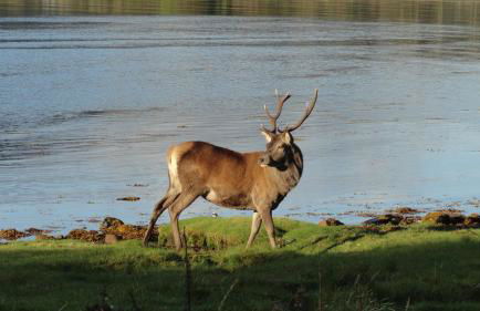 Charming cottage with loch and hill views nr Edinburgh - Foto 37