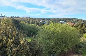 Playas salvajes y relax - Foto 2