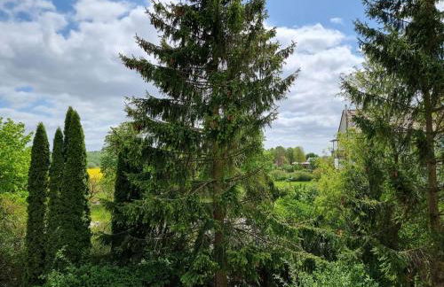 Ferienwohnung Tannenblick-MV - Foto 11