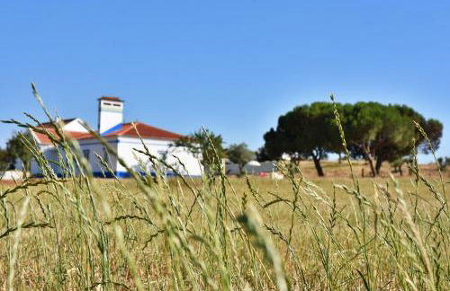 Monte Casa Branca - Foto 48