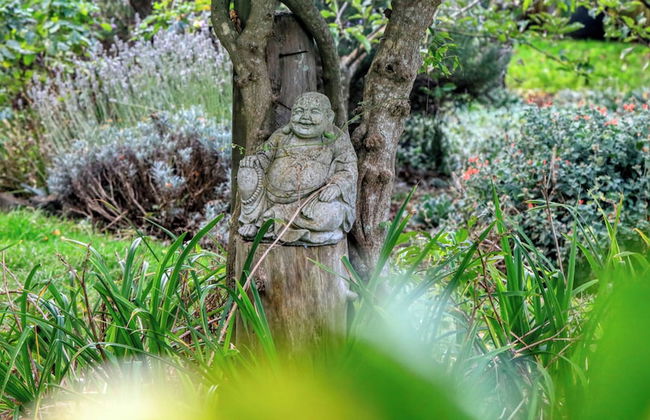 Boat Harbour Garden Cottages - Foto 48