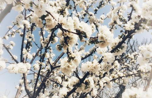 Villino in Campagna con Piscina Relax - La Casa di Teresa - Photo 8