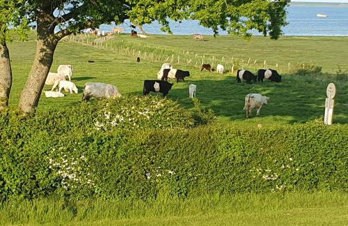 Ferienhaus Pippilotta Olpenitzdorf - Foto 24
