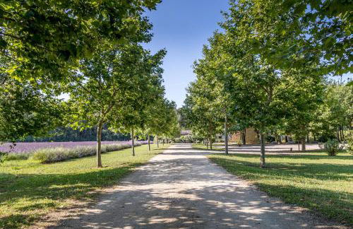 Gîte Terrasse - Photo 21