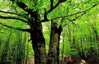 Mandra Chiusilla - Foto 31