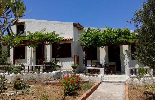 Sunrise Apartments - Photo 36