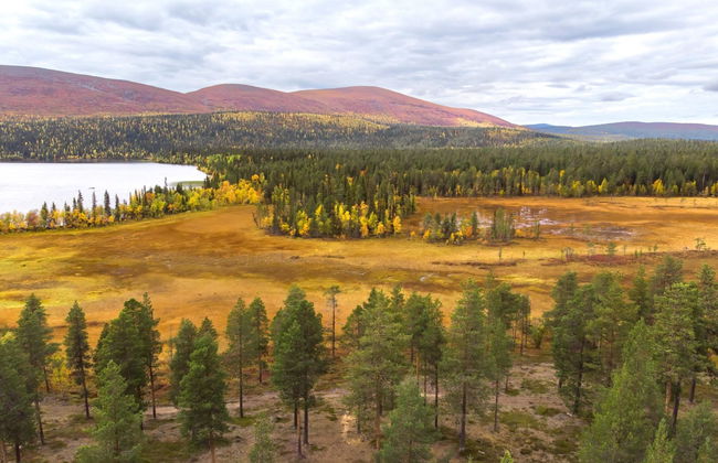 Villa taiga - Foto 28