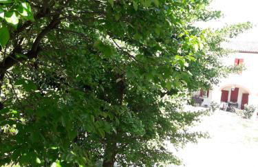 Tenuta Crescentini-ValleMura ,appartamenti con entrata indipendente - Foto 61