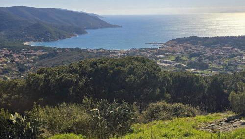 Appartamenti del Lettore - Elba Affitti - Foto 4