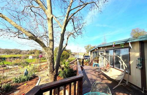 Hot Tub, Farm Chic Shingle Springs Birders Heaven - Foto 25