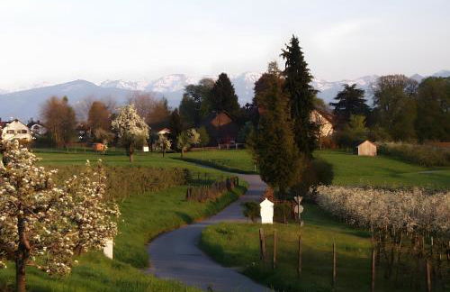 Baumanns Ferienhof Am See - Foto 9