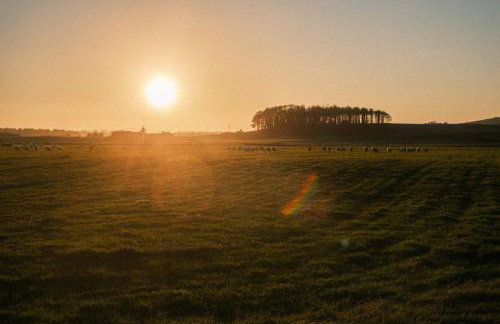 The Galloway Steading: Countryside Family Retreat with Sauna and Hot tub - Foto 55
