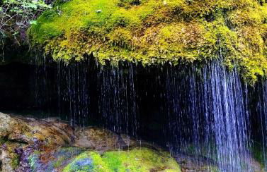 Ferienwohnung Waldkäuzle27 - Photo 20