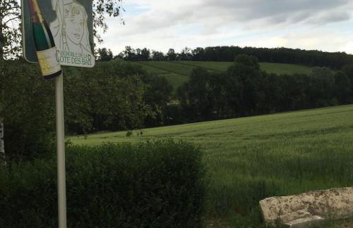 Gîte champenois les voisins - Foto 65