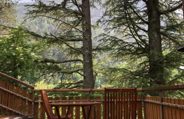 La cabana - Els Apartaments del bosc - Foto 21