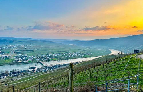 Weingut HermesLex - Photo 29