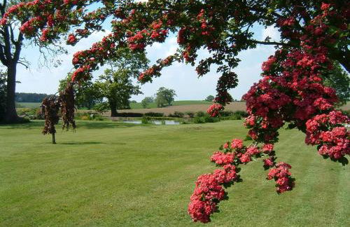 The Owl House - Hot Tub Adventures in Moreton - Pass the Keys - Foto 56