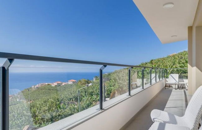 Banana Tree in C Mara de Lobos - Foto 20