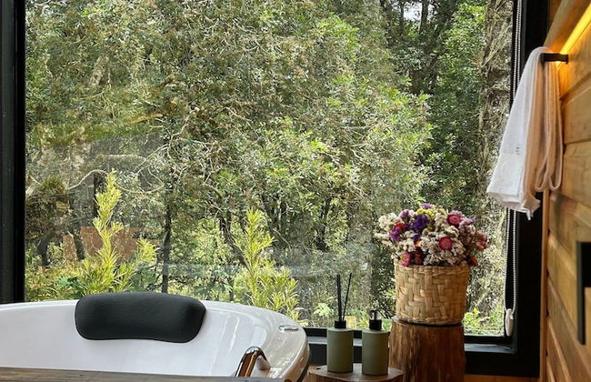 Chalés Solar da Montanha Urubici - Photo 45