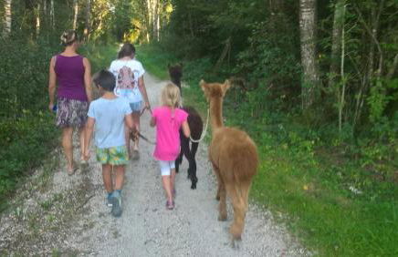 3-Zi Atelierdachwohnung mit Bergblick Seenähe und 2 Loggia - Foto 24