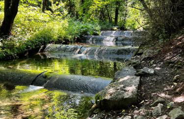 Auszeit Bergliebe - Foto 23