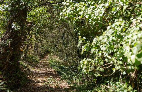 Casa de Medas - Private country house with outdoor spa and river view only 25 minutes away from Oporto - Foto 57