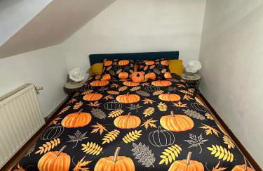 Le cocon de Marckolsheim proche Europapark - Foto 24