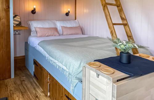 Forget-Me-Not - Uk37646 - Foto 7