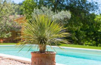 Villa Baou Evasion Provence - Foto 31