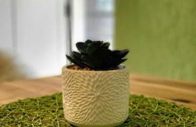 Qća Krk Apartments - Photo 40