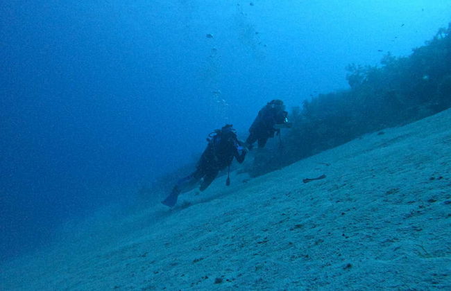 Buceo en San Andrés - Foto 3