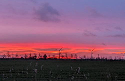 Ferienhaus Carolinenbrise - Foto 29