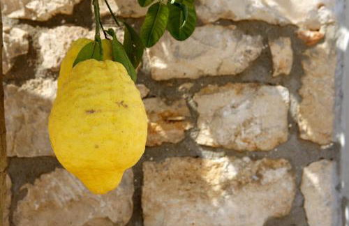 Azienda Agrituristica e Didattica CrauNari - Foto 20