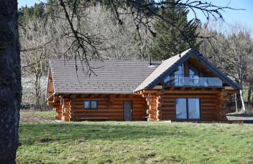 Wood log chalet - Foto 26