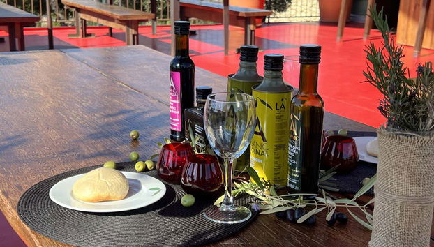 Todo listo para la cata de aceite