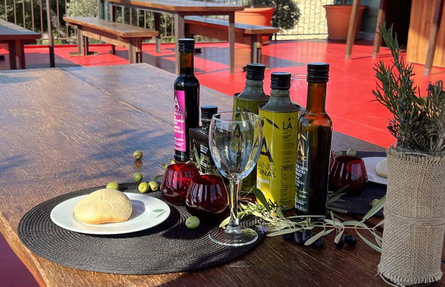 Visita a la finca LA Almazara con cata de aceites - Foto 3