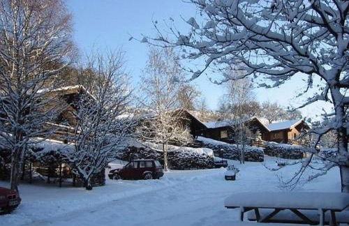 Chalet in Germany With Fireplace & Terrace - Foto 76