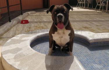 Casas Rurales de Vicorto - Foto 41