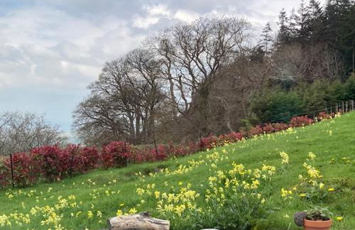 Trinity Cottage - Photo 16