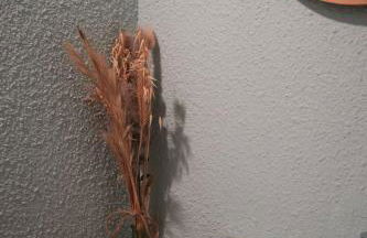 Joli Appt La Pérouse, 2 Chbres, Centre ville, Jardin - Photo 20