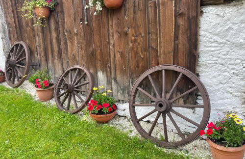 Dom Pod Dębem Agroturystyka - Foto 17