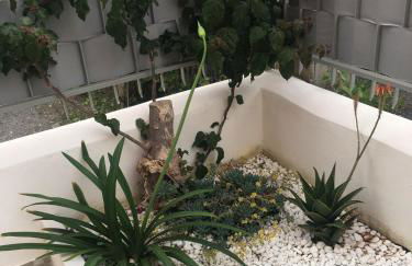 Gilda’s Home - Foto 3