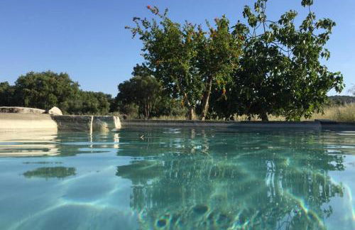 HORTA do RAMALHAÕ - Foto 4