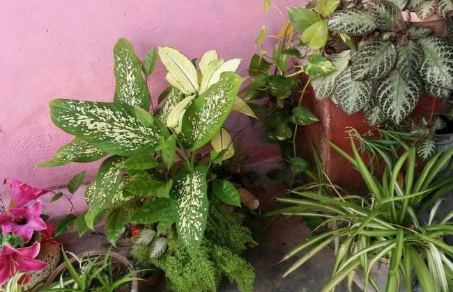 Holiday rental in Camaguey with terrace - Foto 16