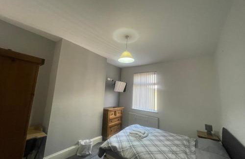 Mount Pleasant Town House Gem - Photo 14